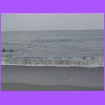 Edisto Beach 2.jpg